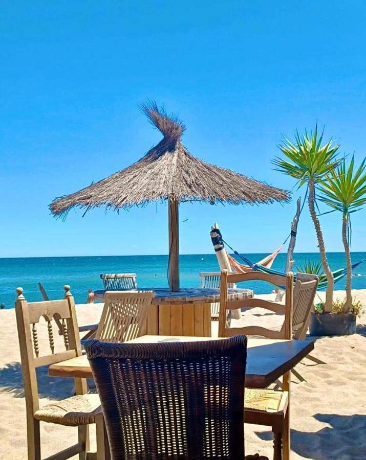 T3 Grande Terrasse Bord De Mer Le Barcares Exterior photo